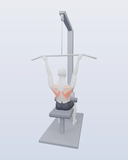 3D render of the lat pulldown, with the back highlighted