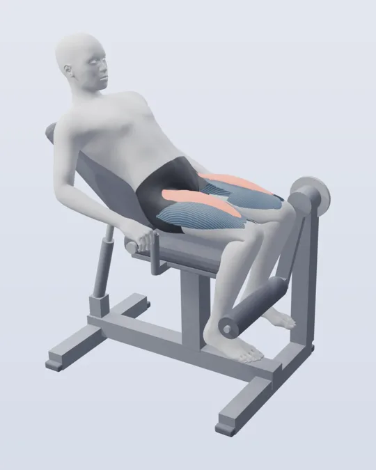 3D render of the leg extension, with the quads highlighted